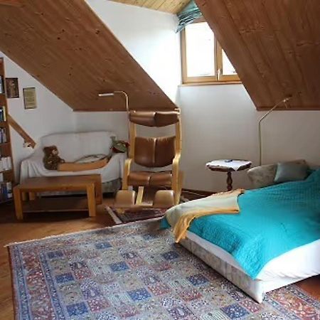 Ferienwohnung Abelein Passau Dış mekan fotoğraf